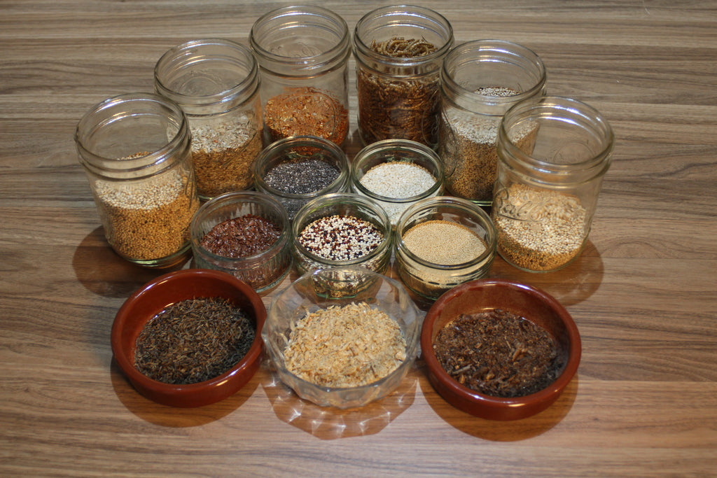 Specialty Chinese Painted Quail / Button Quail Treat Feed – Refined Grain, Seed, Insect & Crustacean Blend (0.5-5KG)