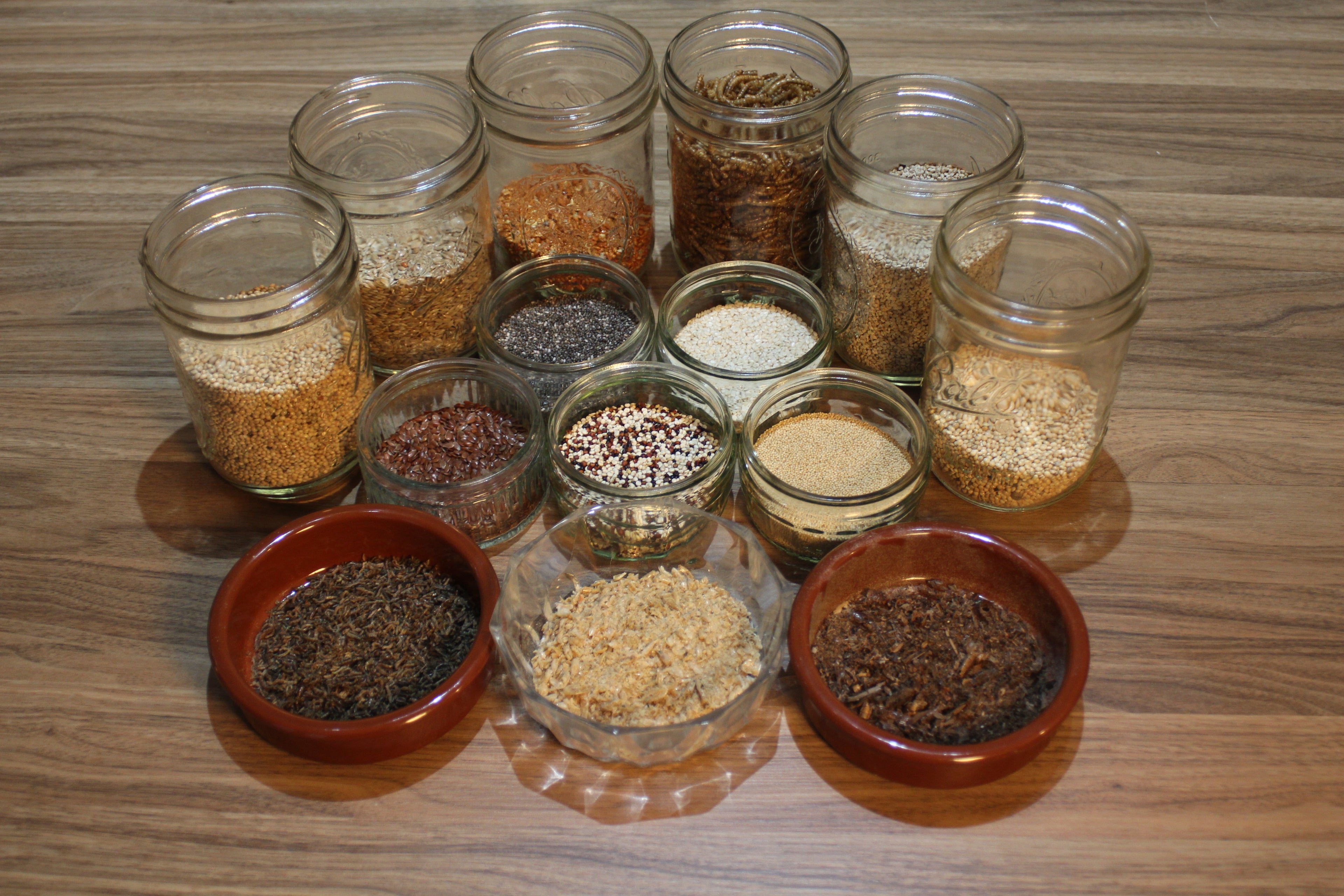 Specialty Chinese Painted Quail / Button Quail Treat Feed – Refined Grain, Seed, Insect & Crustacean Blend (0.5-5KG)