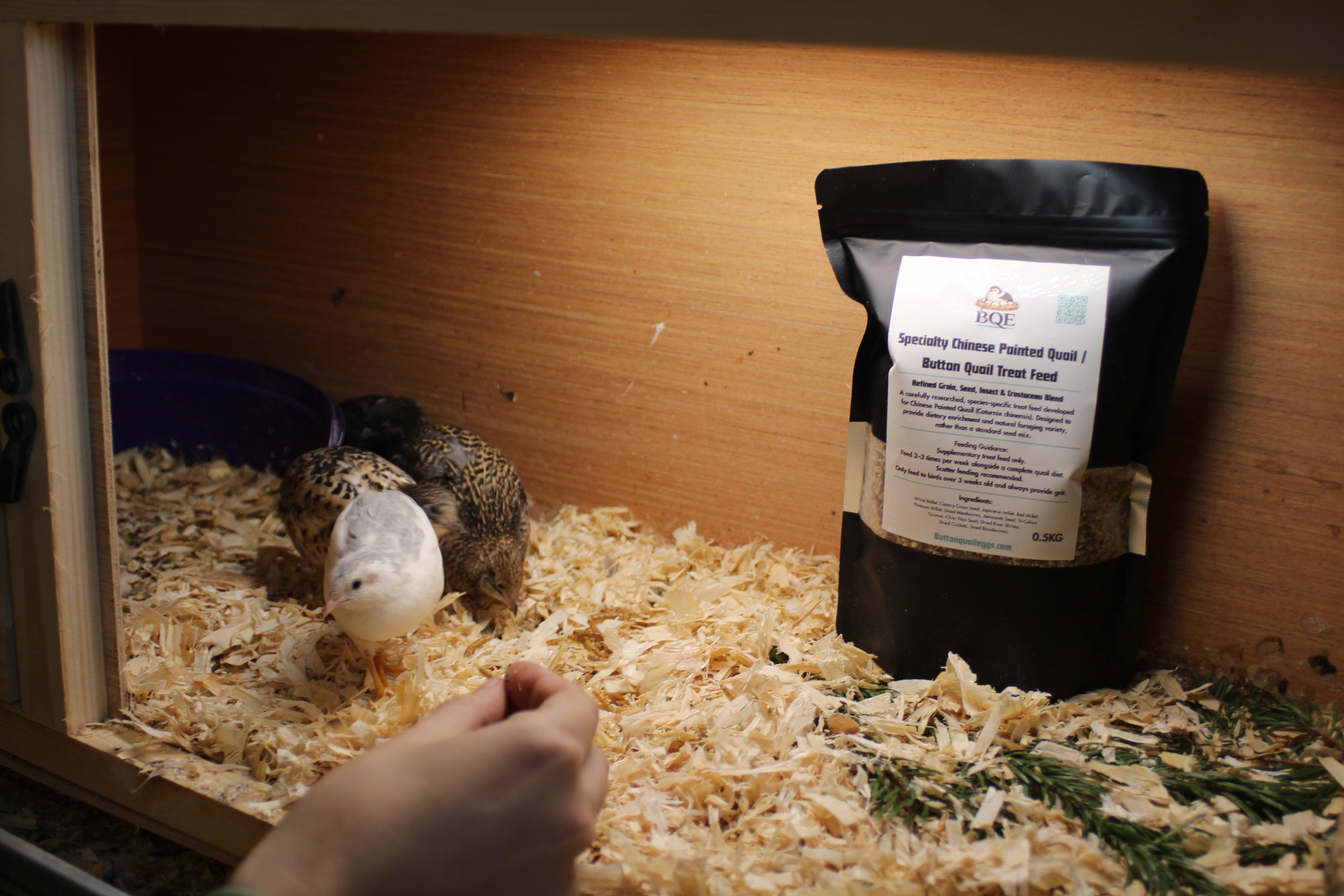 Specialty Chinese Painted Quail / Button Quail Treat Feed – Refined Grain, Seed, Insect & Crustacean Blend (0.5-5KG)