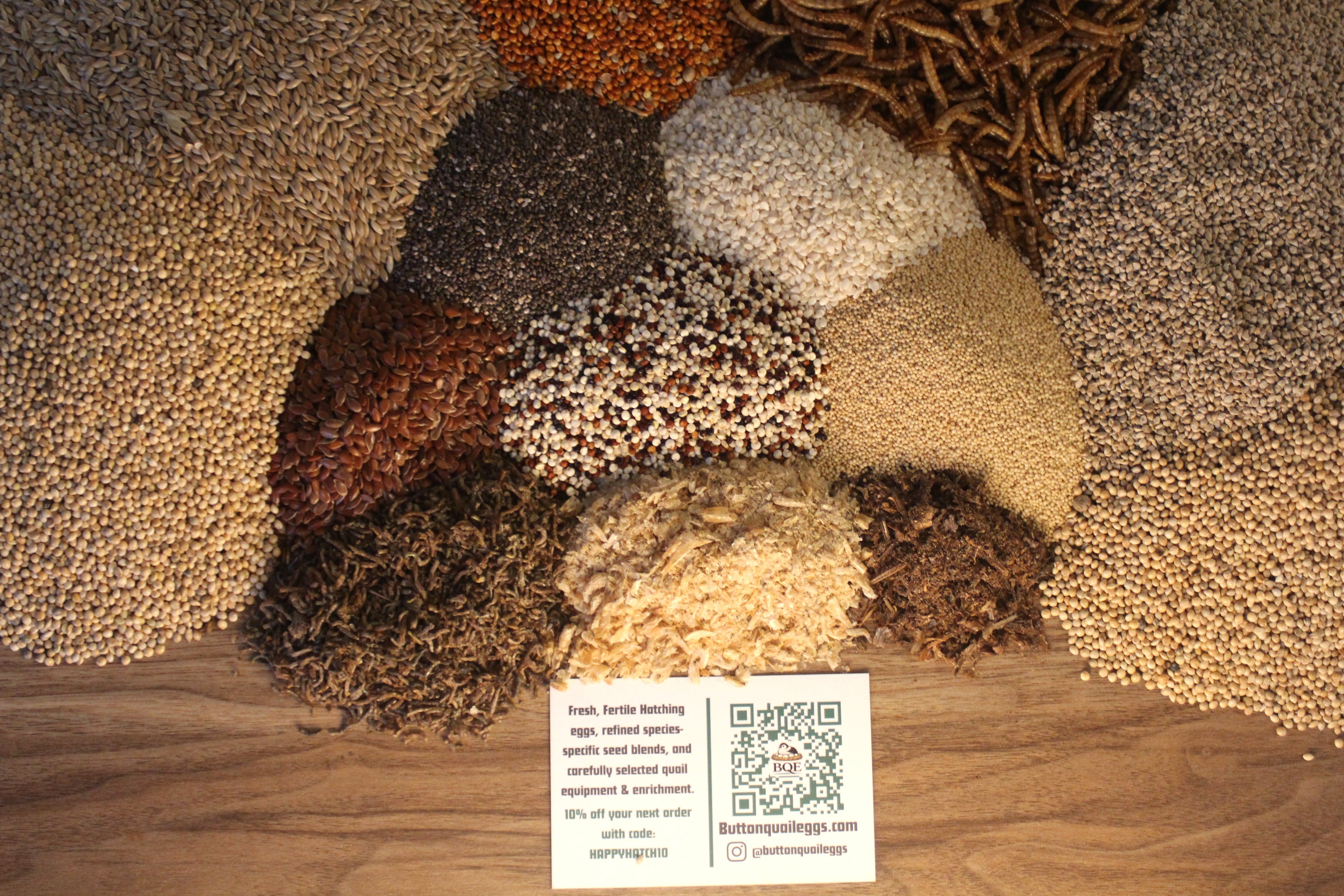 Specialty Chinese Painted Quail / Button Quail Treat Feed – Refined Grain, Seed, Insect & Crustacean Blend (0.5-5KG)